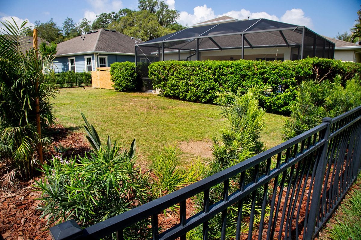 Our Tampa Landscape Project Gallery The Whole 9 Yards