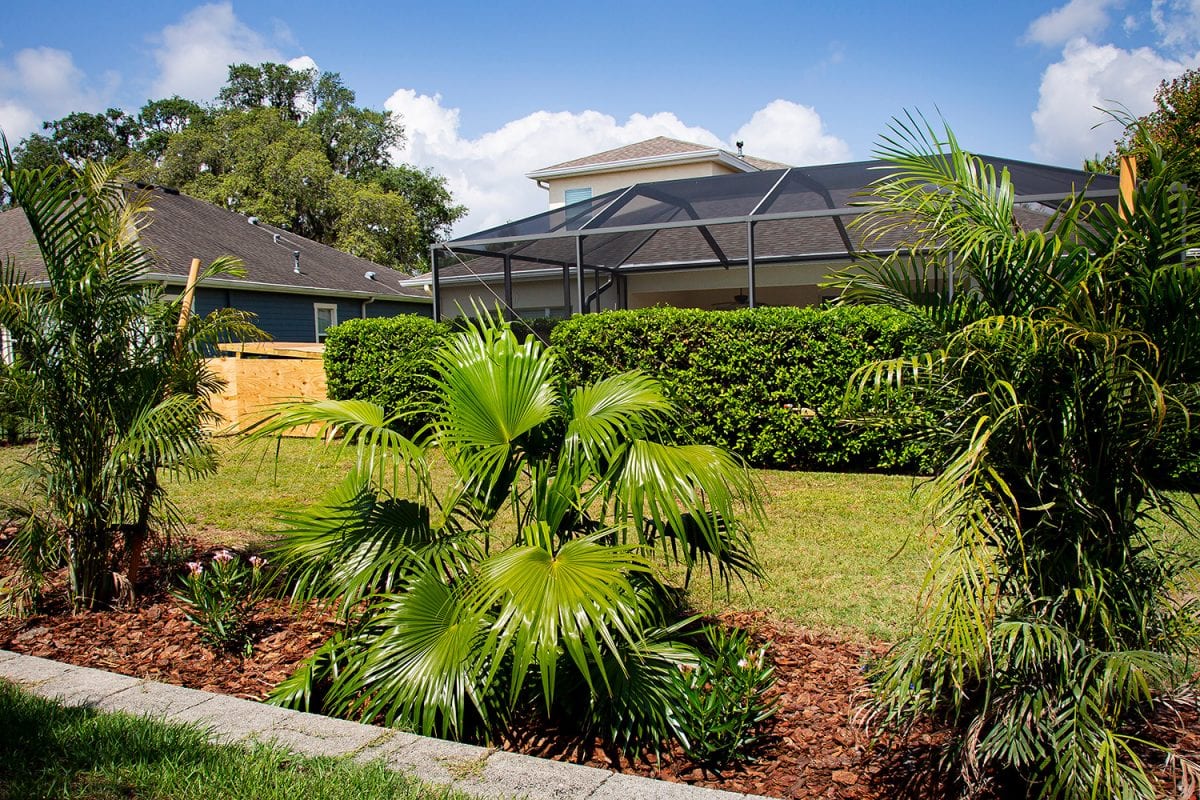 Our Tampa Landscape Project Gallery The Whole 9 Yards