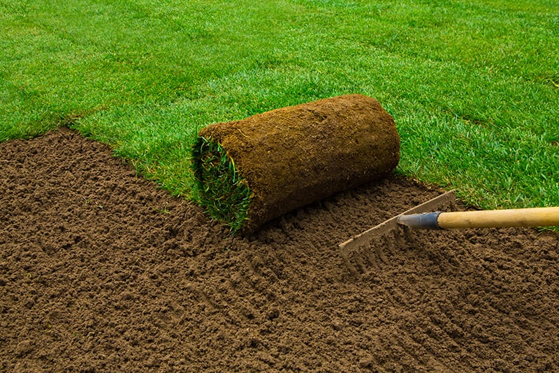 1 Commercial Landscaping In Tampa & Beyond