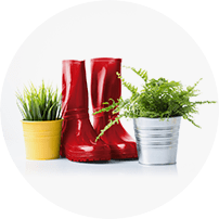 home-image-9-1
